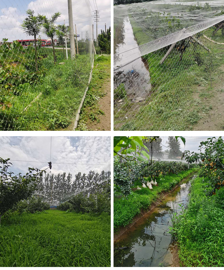 شبكة نايلون شديدة التحمل، شبكة - مراجعة Fishing Equipment Net وسعره
